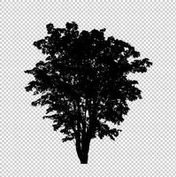 Tree silhouette on transparent background with clipping path and alpha photo