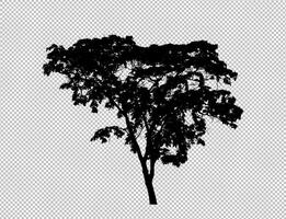 Tree silhouette on transparent background with clipping path and alpha photo