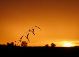 espectacular puesta de sol encima, naranja Dom creciente arriba terminado el horizonte foto