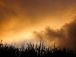 Spectacular sunset over, orange sun rising up over the horizon photo