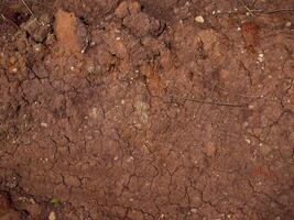 natural soil texture and texture background photo