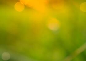 Abstract bokeh out of focus blurred color nature background. photo