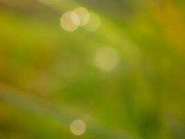 Abstract bokeh out of focus blurred color nature background. photo