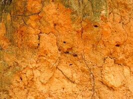 natural soil texture and texture background photo