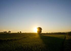 Spectacular sunset over, orange sun rising up over the horizon photo