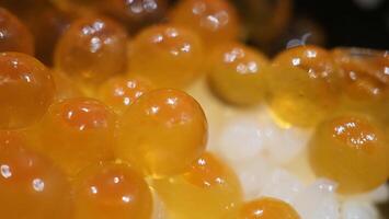 Close up of sashimi salmon roe with rice bowl or donburi in Japanese style food. photo