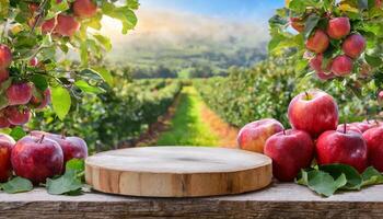 empty wood podium surrounded by red apple fruit and plant with apple farm background photo