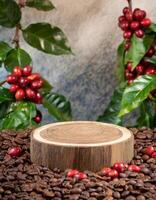 empty wood podium surrounded by coffee beans with coffee plant with red fruit photo