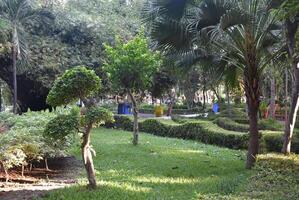 Lush green botanical gardens - tall shady trees and neat paved paths with rubbish bin facilities. photo