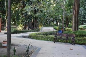 Lush green botanical gardens - tall shady trees and neat paved paths with rubbish bin facilities. photo