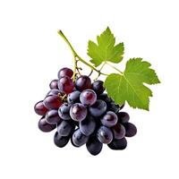 Fresh grape fruit. Whole ripe berry with green leaf isolated. Healthy diet. Vegetarian food photo