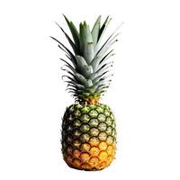 Fresh pineapple fruit. Whole ripe fruit isolated. Healthy diet. Vegetarian food photo