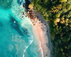 tropical aéreo línea costera ver desde zumbido foto