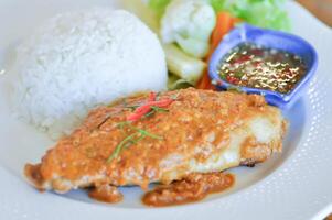 stir fried fish with chili ,sauce and rice or a king of curry cooked with fried fish served with a spicy sauce photo
