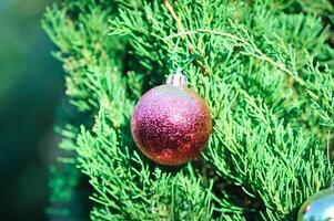 Navidad día o Navidad decoración , Navidad pelota en pino árbol foto