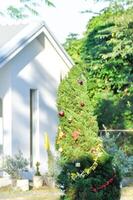 Christmas day or christmas decoration , christmas ball on pine tree or ball and star decoration on pine tree at home photo