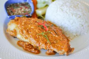 stir fried fish with chili ,sauce and rice or a king of curry cooked with fried fish served with a spicy sauce photo