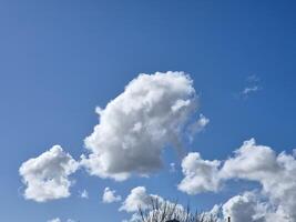White fluffy cumulus clouds in the summer sky, natural clouds background photo