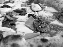 Tasty pizza close view background. Black and white pizza photo