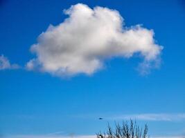 White fluffy clouds in the sky background. Cumulus clouds photo