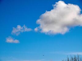 Cumulus clouds in the sky. Fluffy cloud shapes photo