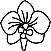 orchid flower outline illustration vector