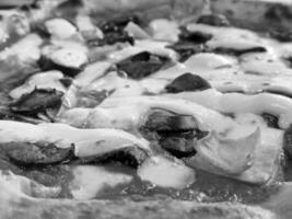 Tasty pizza close view background. Black and white pizza photo