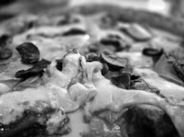 Tasty pizza close view background. Black and white pizza photo