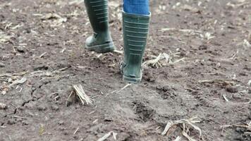 agricultor trabalhador vai casa depois de colheita fim do a trabalhando dia pés dentro borracha chuteiras agricultura video