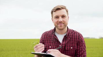 Portrait shot of attractive farmer standing in green field with green wheat and notebook in the hands. Farmer with smile outdoors in summer video