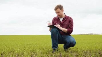 Mann Farmer Arbeiten im das Feld inspiziert das Ernte Weizen Keim natürlich ein Landwirtschaft video