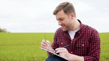 agricultor estudos a crescimento do verde trigo e escreve Fora a indicadores dentro a caderno video