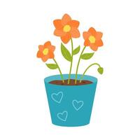 Flowers in a pot. Blossom. Indoor plants for the interior. vector