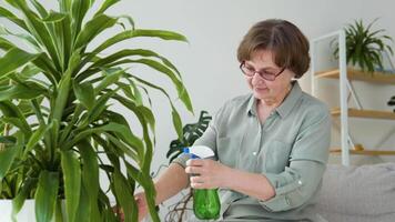 senior vrouw gieter bloemen van hand- sproeier. fabriek zorg concept video