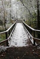 un puente terminado misión río en el invierno nieve. foto