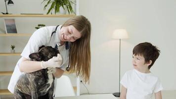 rolig hund på de veterinär få medicin video