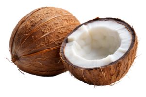 , coconut isolated on transparent background png