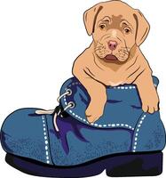 DOG IN THE BOOT vector