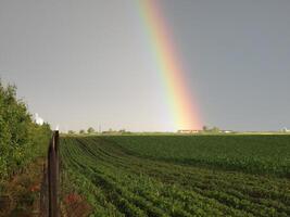 hermosa doble arco iris en un campo foto