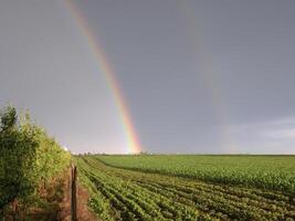 hermosa doble arco iris en un campo foto