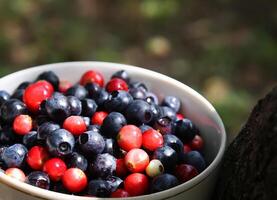 Ripe fresh blueberry photo