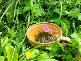 Healthy herbal tea with medical herbs. photo