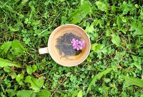 Healthy herbal tea with medical herbs. photo