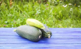 Zucchini on wooden boards outdoors photo