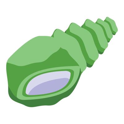 Green sea shell icon isometric . Marine element