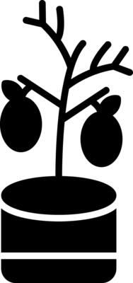 Lemon Tree Glyph Icon