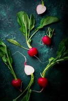 Fresh organic radish on green background photo