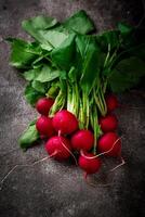 Fresh organic radish on dark background photo