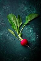 Fresh organic radish on green background photo