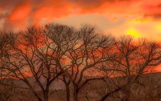 Zion Canyon Sunset photo